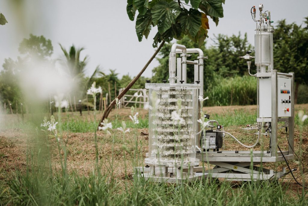 Osmo bloom extraction system