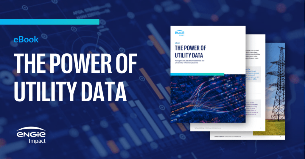 The Power of Utility Data