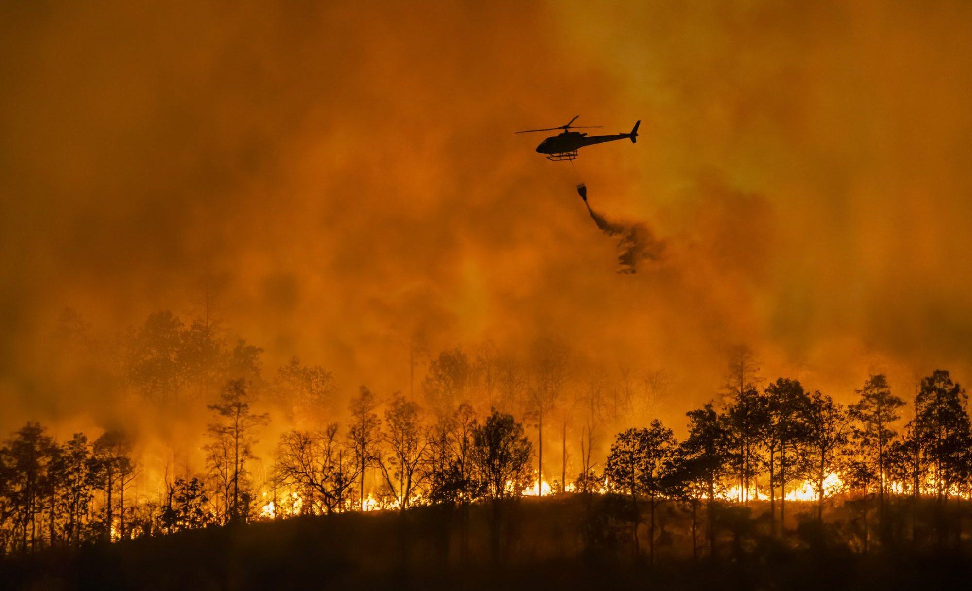 Systemic Risks: COVID’s Lessons and Climate Mitigation – Trellis Group