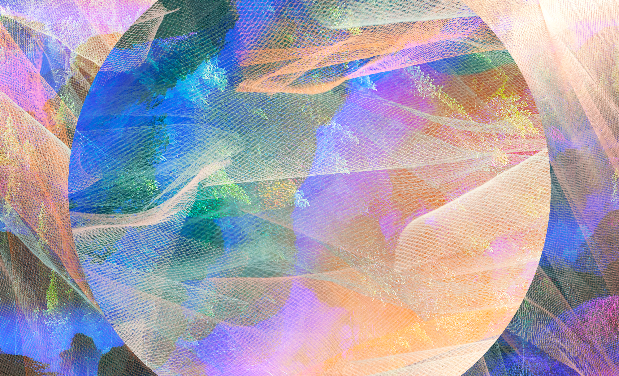 Canopy Hot Button report: Fiber giants advance forest-friendly material – Trellis Group