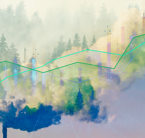Why 2025 has seen a flood of new ways to count carbon
