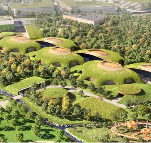 No ‘fireball squirrels’: Nature and next-generation data center design