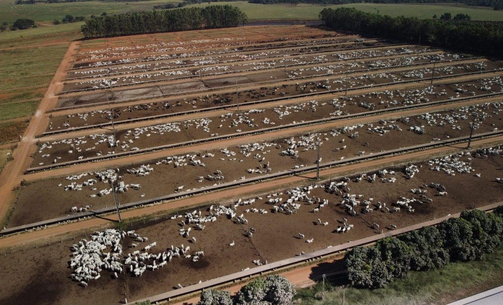 A feedlot in Brazil