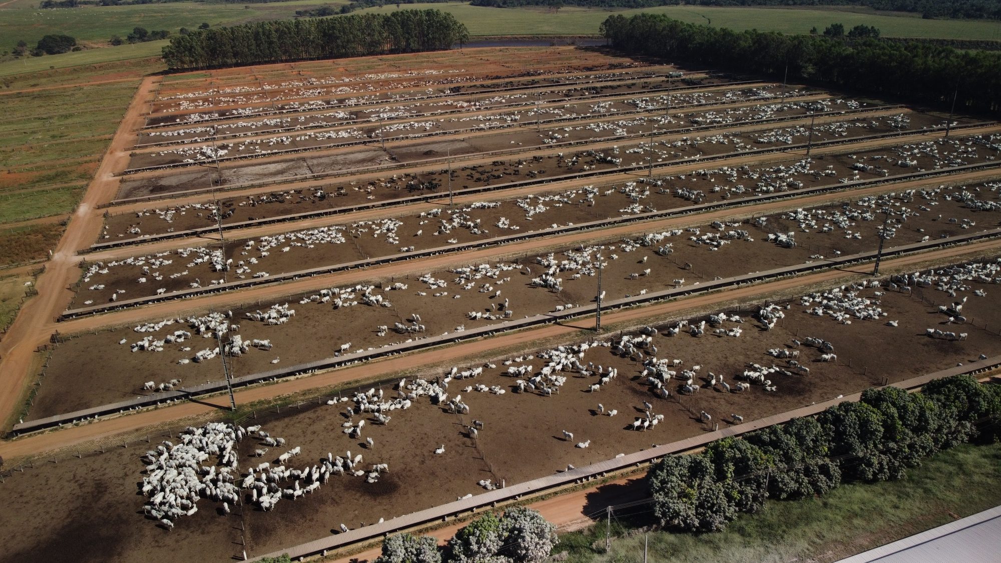 Tyson, JBS cases mark new level of scrutiny of corporate greenwashing