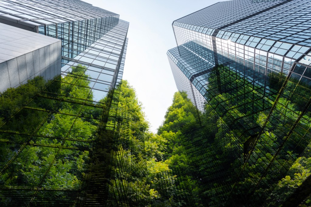 Green trees and office buildings