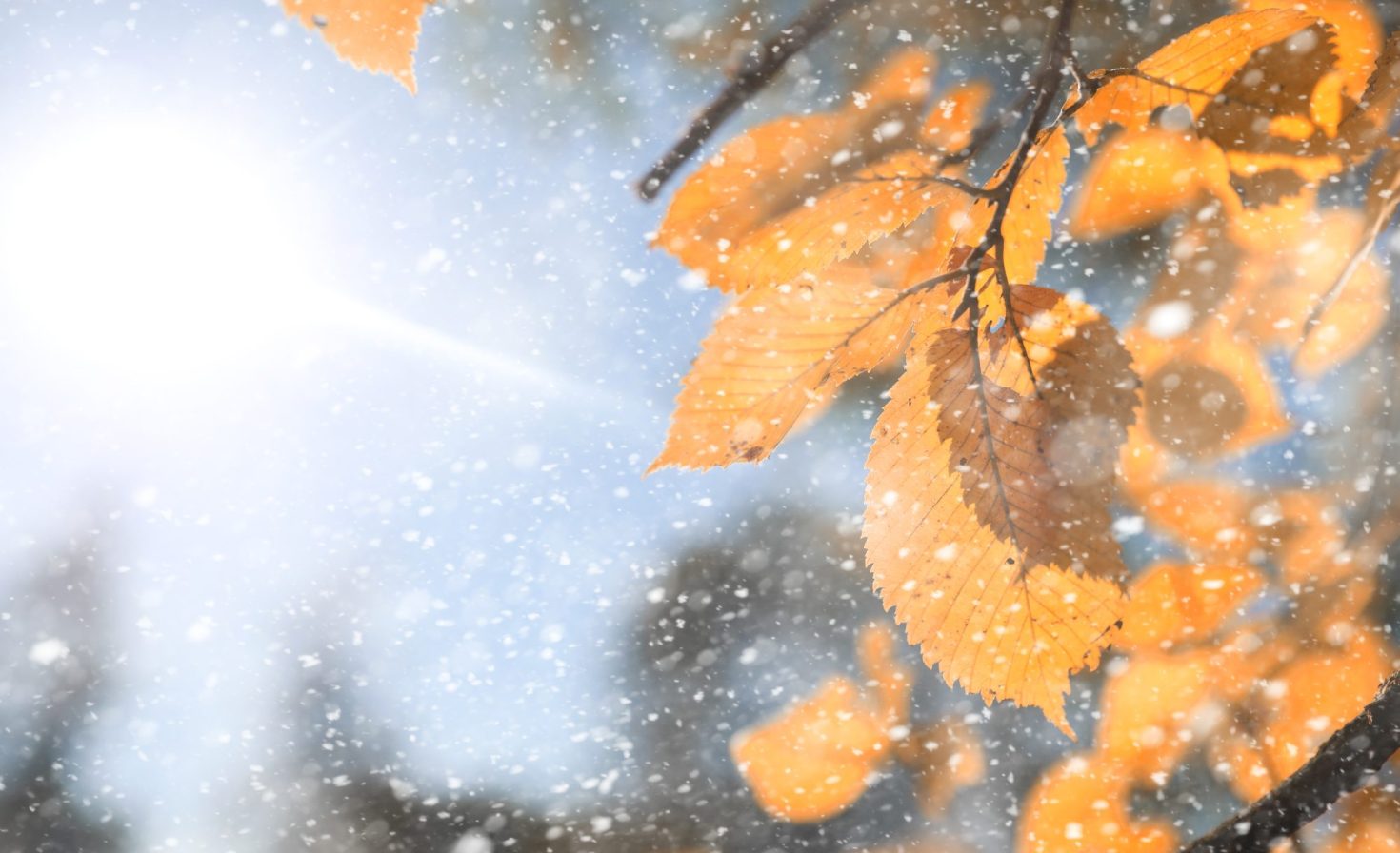 ESG reporting needs a refresh. Here’s how to fix it