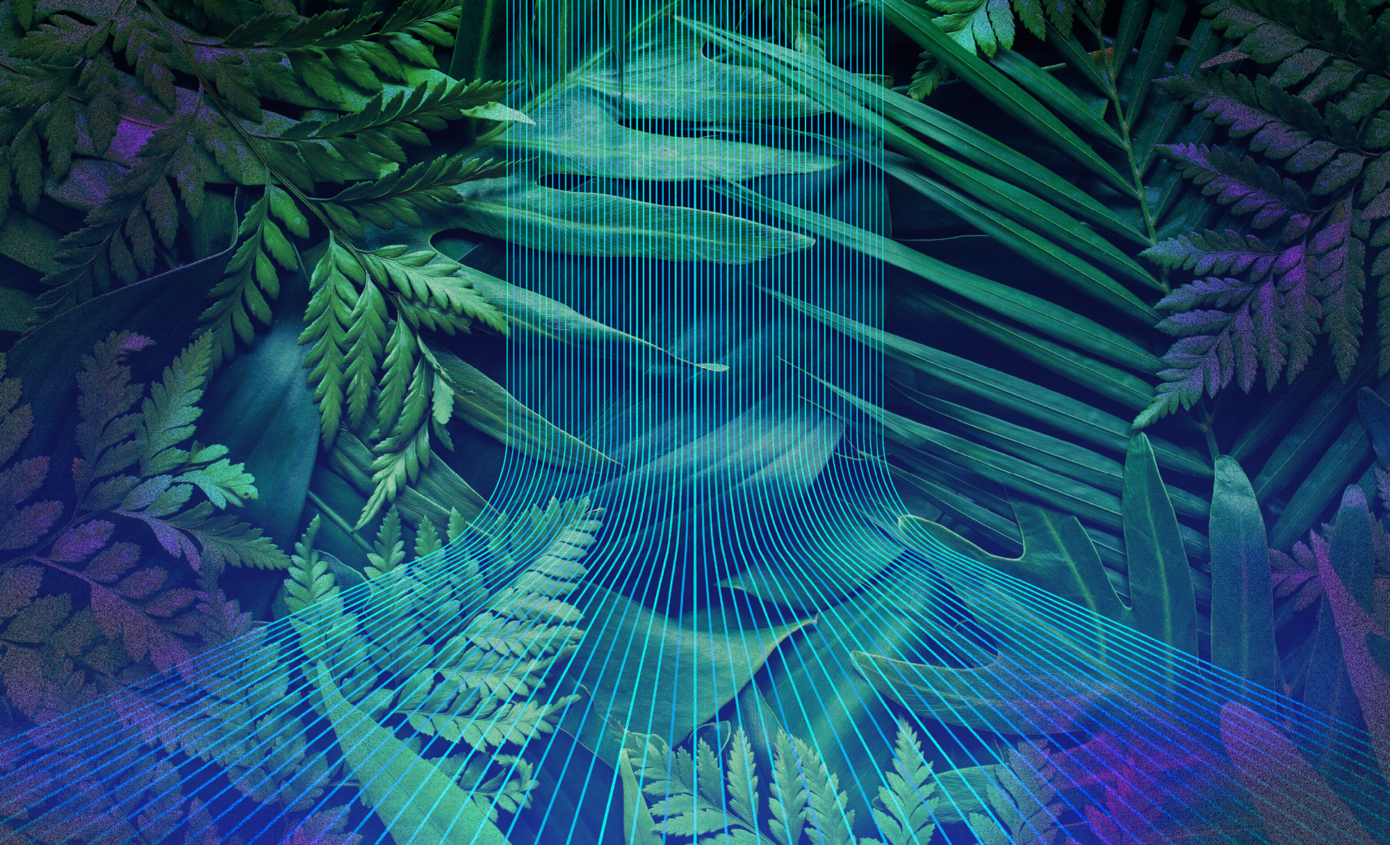 At COP30, governments follow the lead on corporate climate procurement