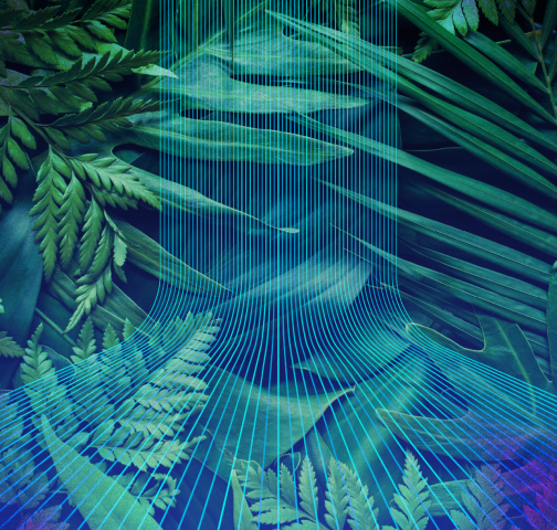 At COP30, governments follow the lead on corporate climate procurement