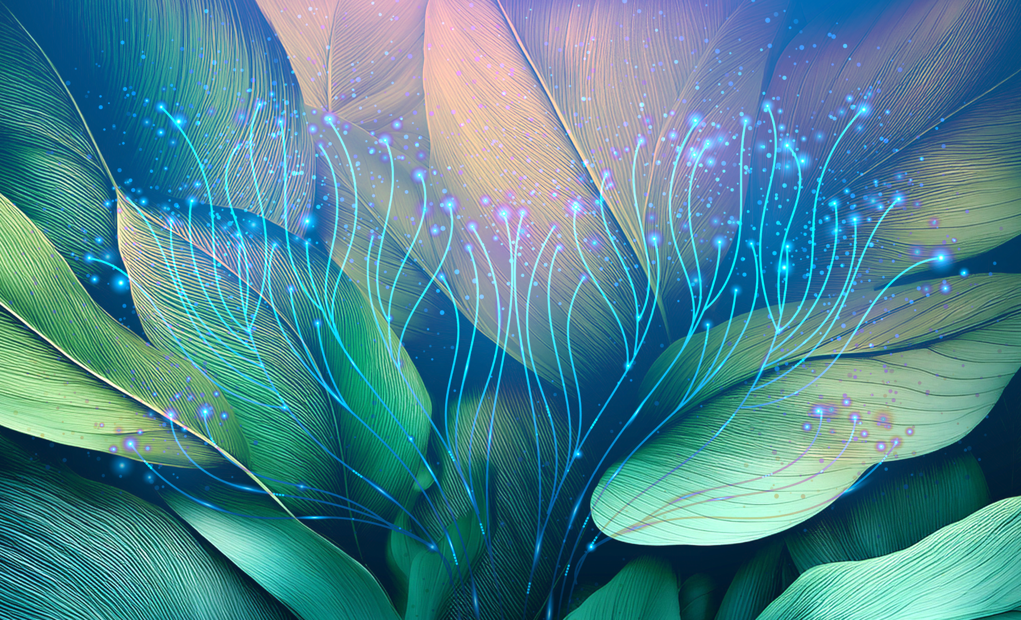 Decarbonization demands pragmatism, not purity