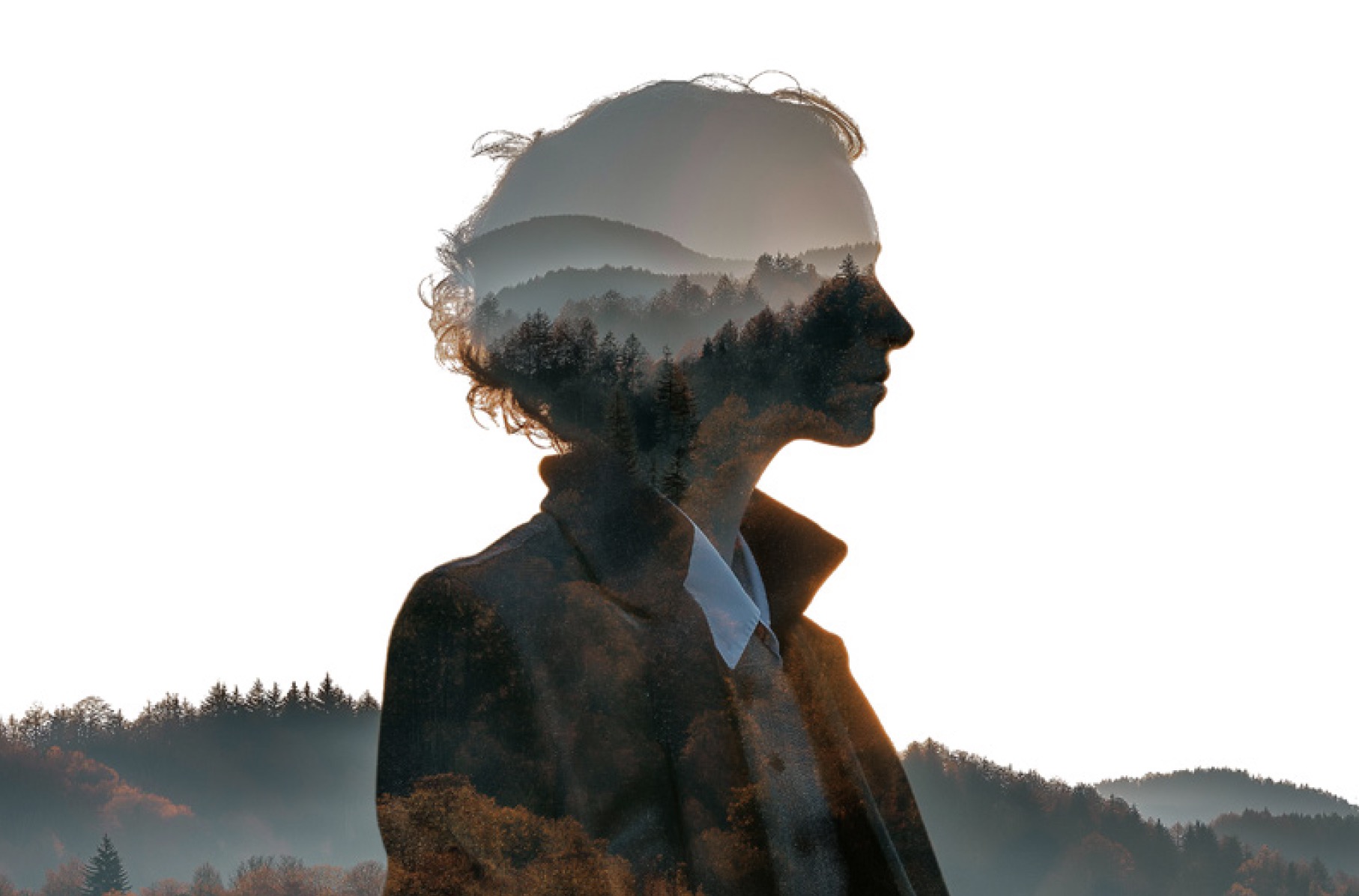 photo of The unsustainable world of sustainability thought leadership image