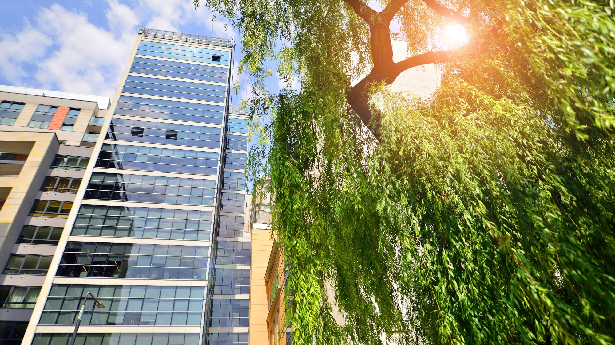 Real estate decarbonization is moving to the building level