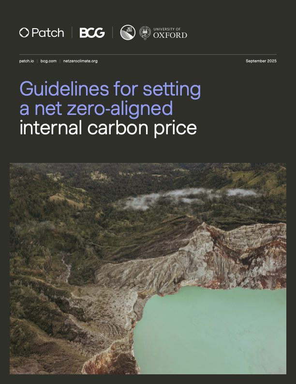 Guidelines for setting a net zero-aligned internal carbon price