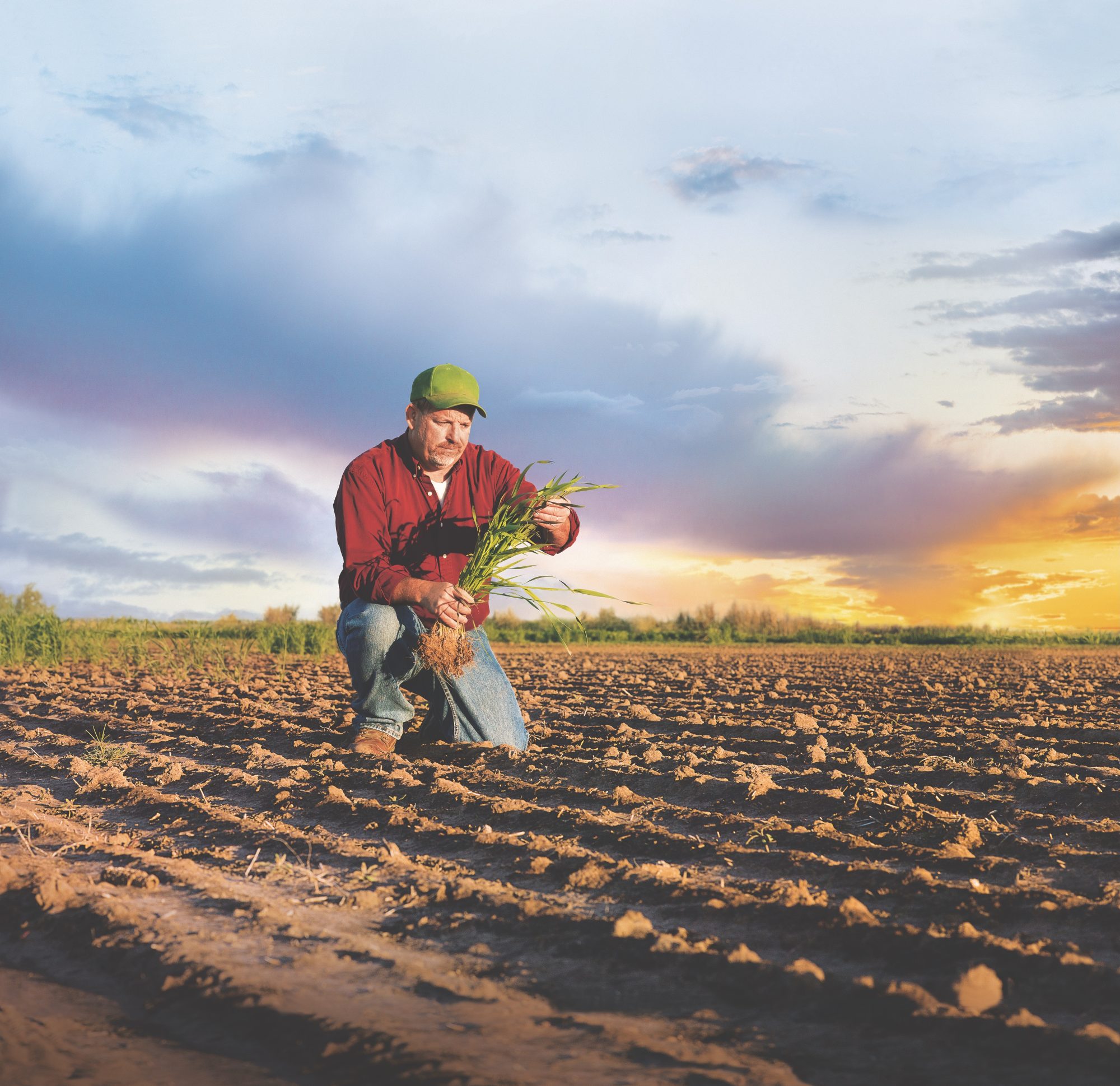 Bayer's Pro Carbono: Soil Health for 7.4M Acres Profit