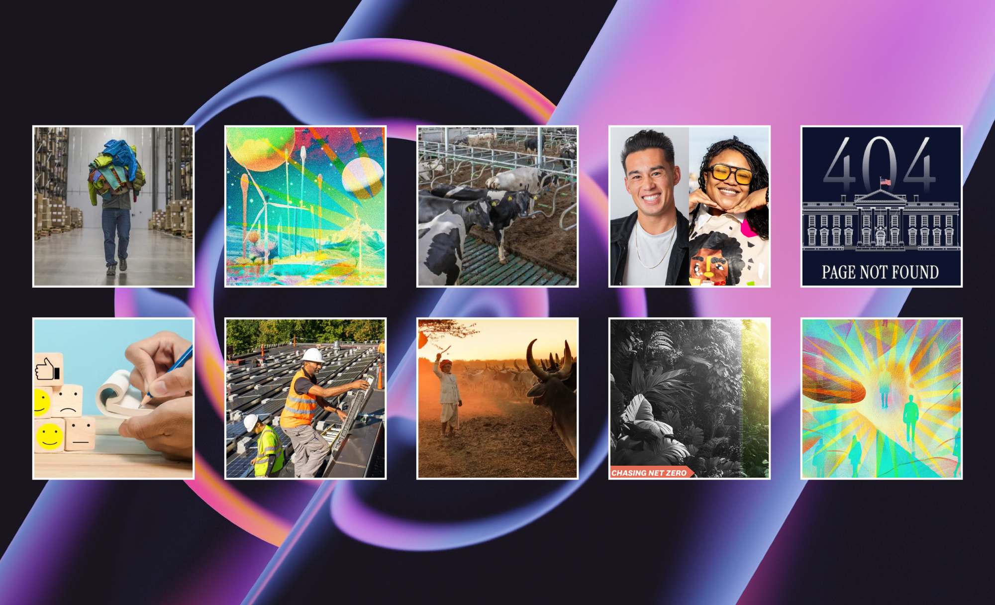 Top 10 Most-Read Trellis Stories of 2025