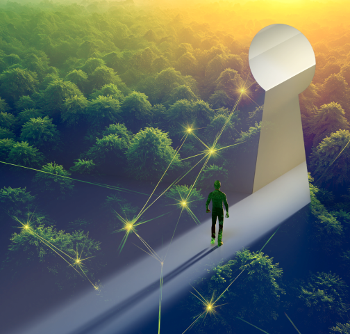 How sustainability leaders can get ahead in 2026