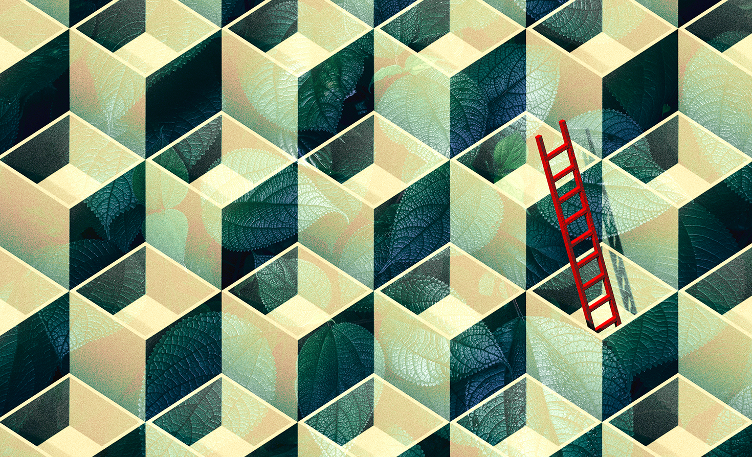 Siemens’ sustainability head on competing in an age of transition