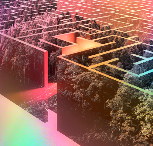 Mood check: Sustainability professionals today are discouraged but resolute