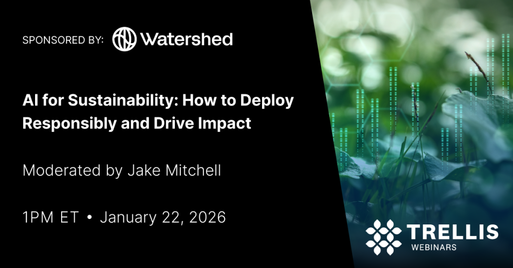 AI for Sustainability: How to Deploy Responsibly and Drive Impact