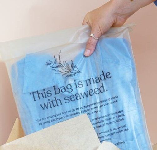 Biodiversity VC fund focuses on seaweed, fungi and invasive species