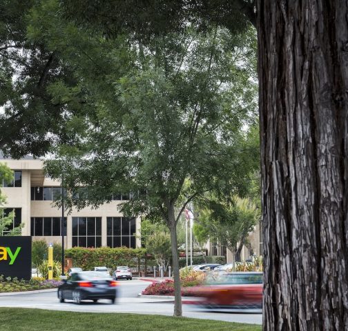 Why DHL, FedEx and UPS are central to eBay’s climate transition plan