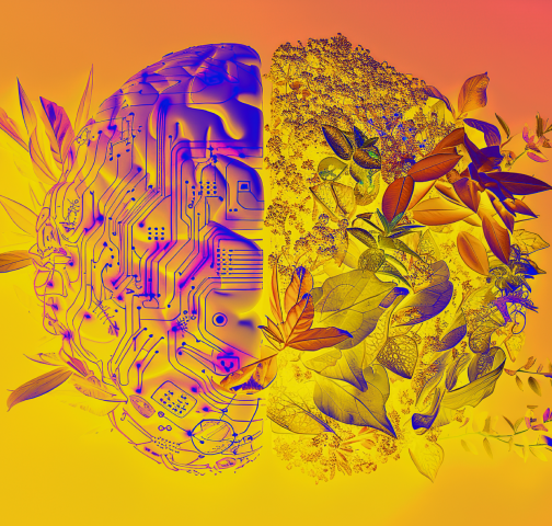 5 interview questions IBM’s CSO asks candidates