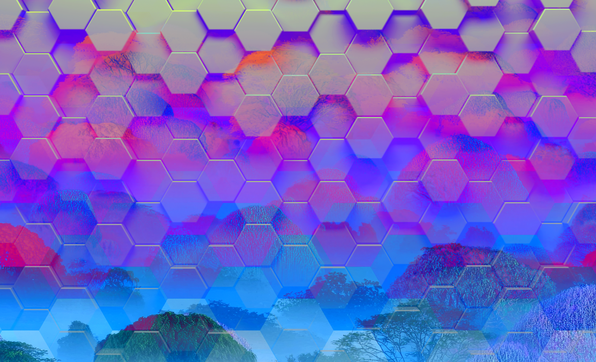 How companies can lessen legal risk in carbon markets