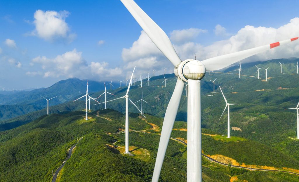 Microsoft, Autodesk and SwissRe among companies with highest internal carbon fees