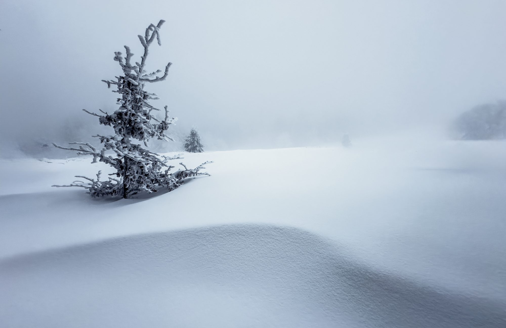 The biggest climate risk right now isn’t denial. It’s silence