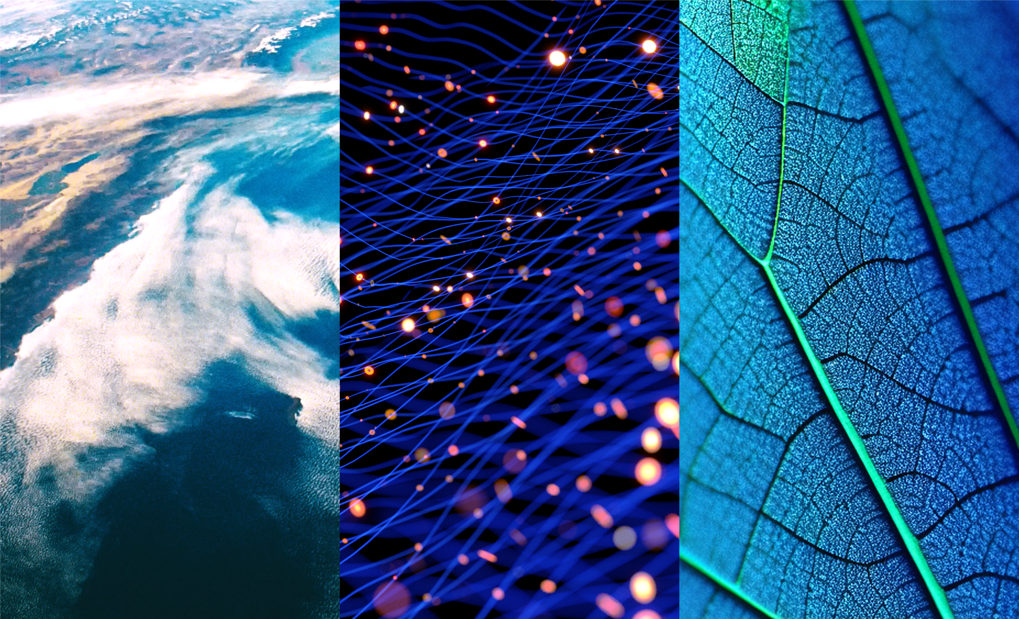 What’s next: Key climate and nature methodologies