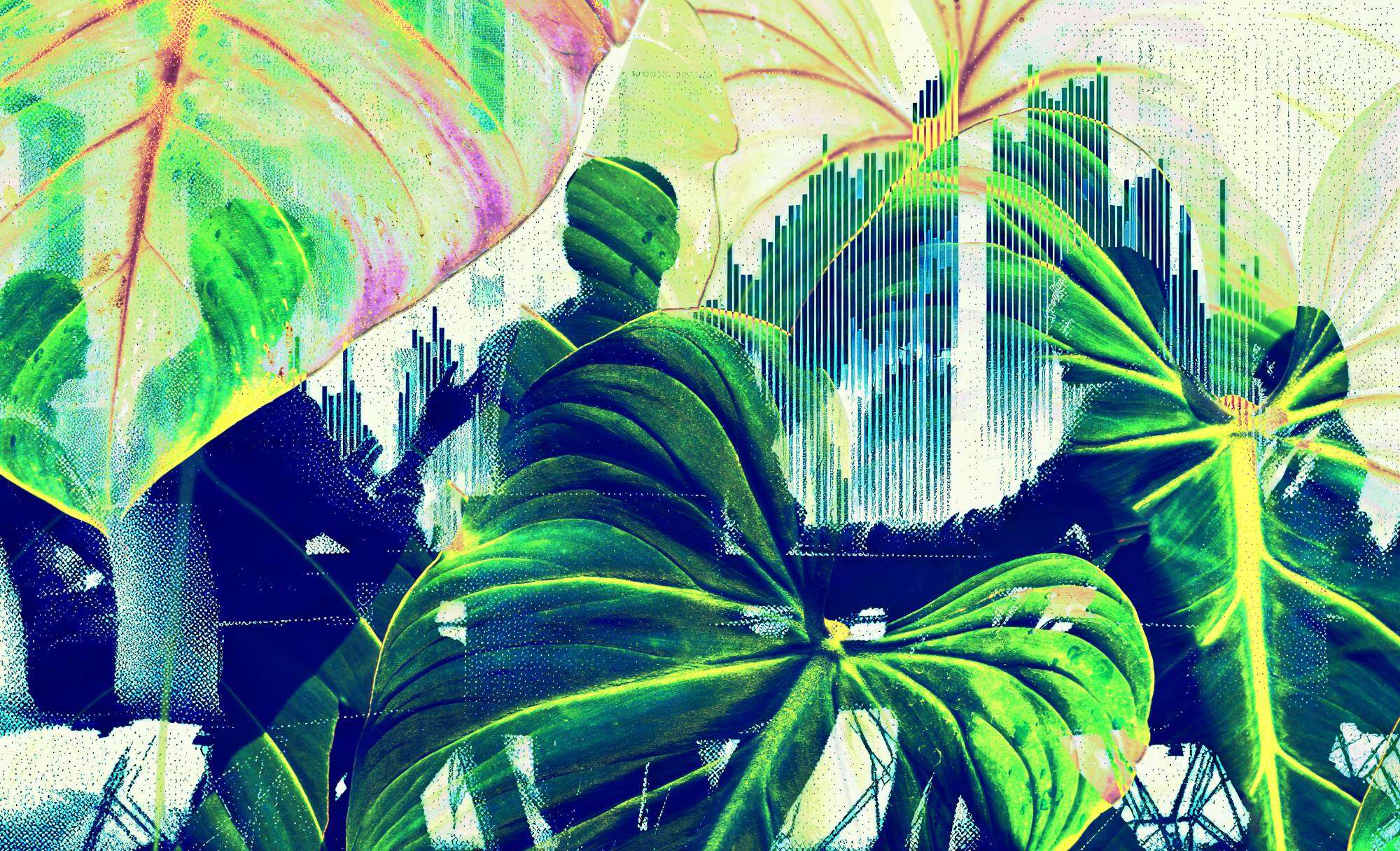 Why corporate investors should look to domestic companies for dividends 