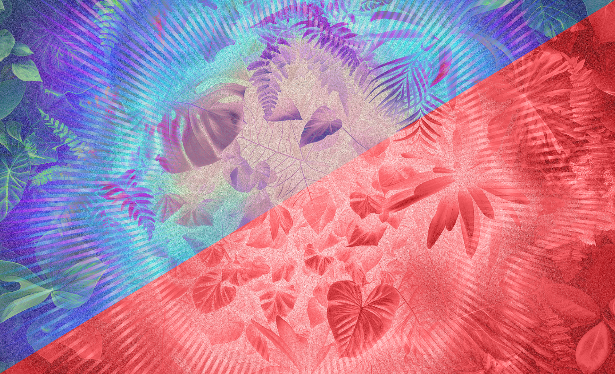 Fighting back against climate rage bait