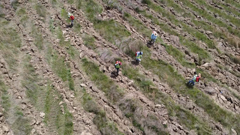 Overhead shot of workers replanting degraded land.