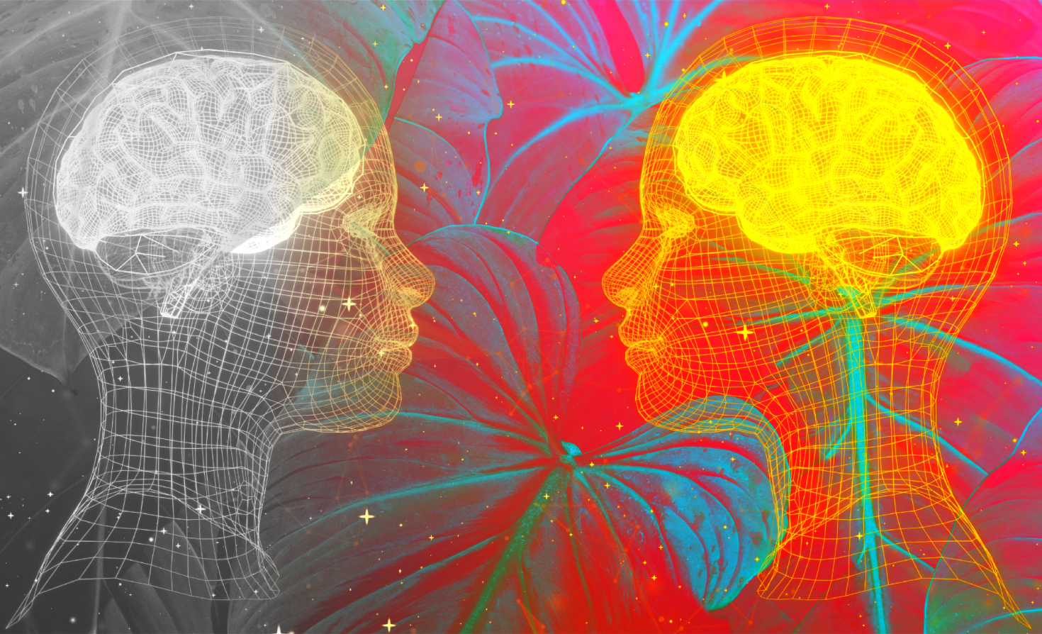 It’s time to ditch the term ‘stakeholder engagement’