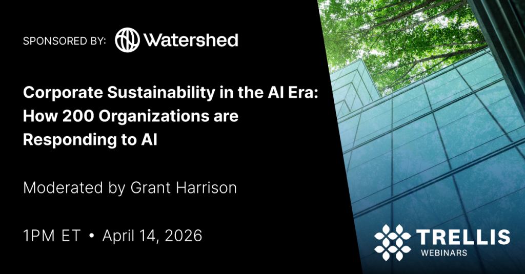 Corporate Sustainability in the AI Era: How 200 Organizations are Responding to AI
