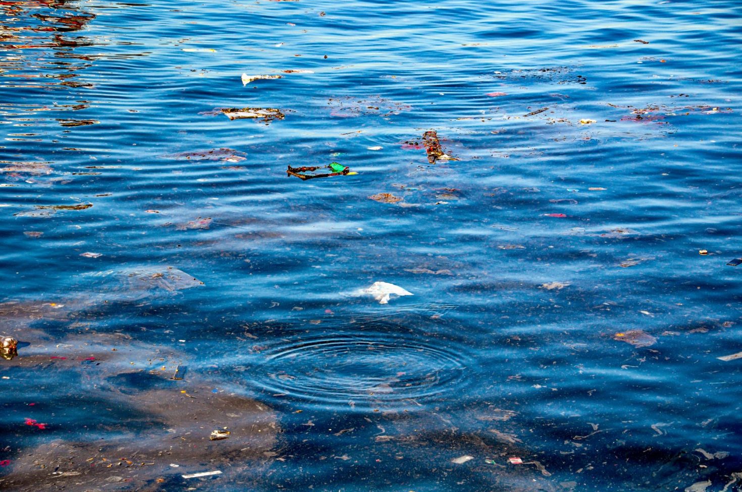 Consumers expect companies to advocate for stronger water protection policies