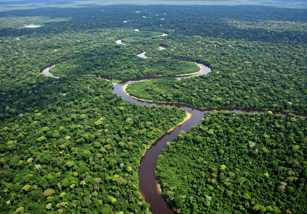 Aerial view of a river running through a tropical forest.