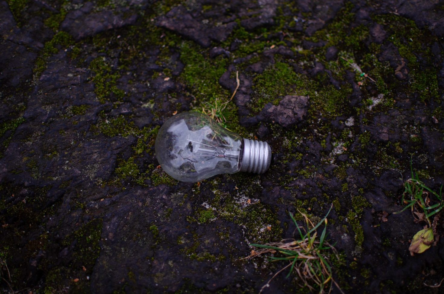 Stopping the sustainability brain drain