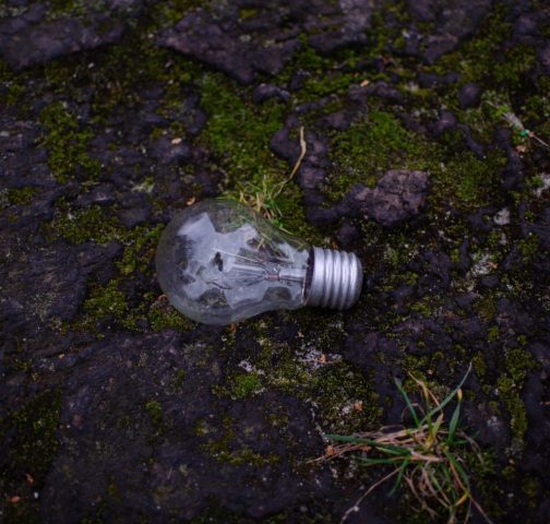Stopping the sustainability brain drain