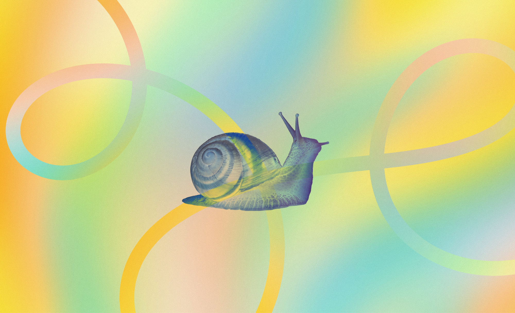 How climate standards are slowing down corporate decarbonization