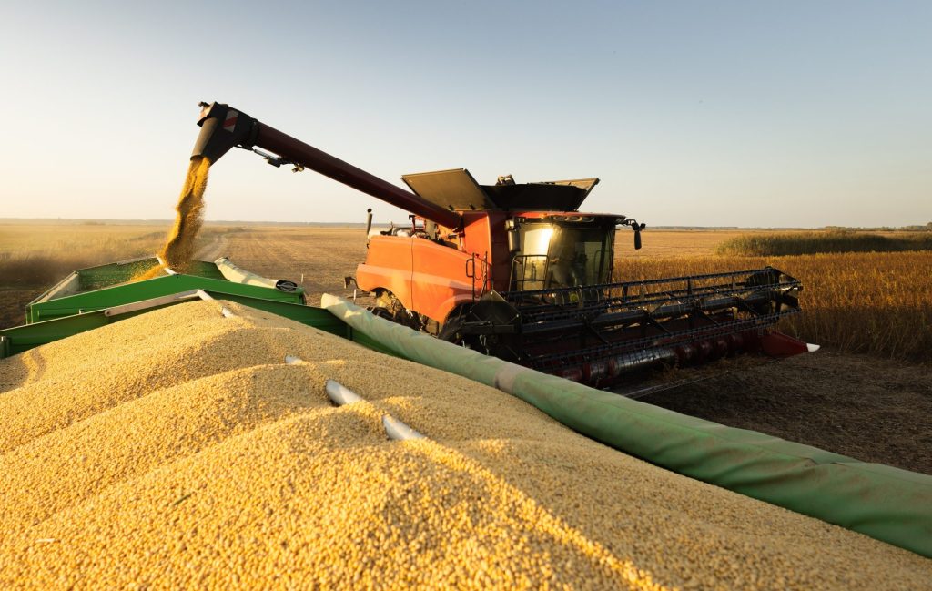 Grain auger of combine pouring soy beans into tractor trailer.