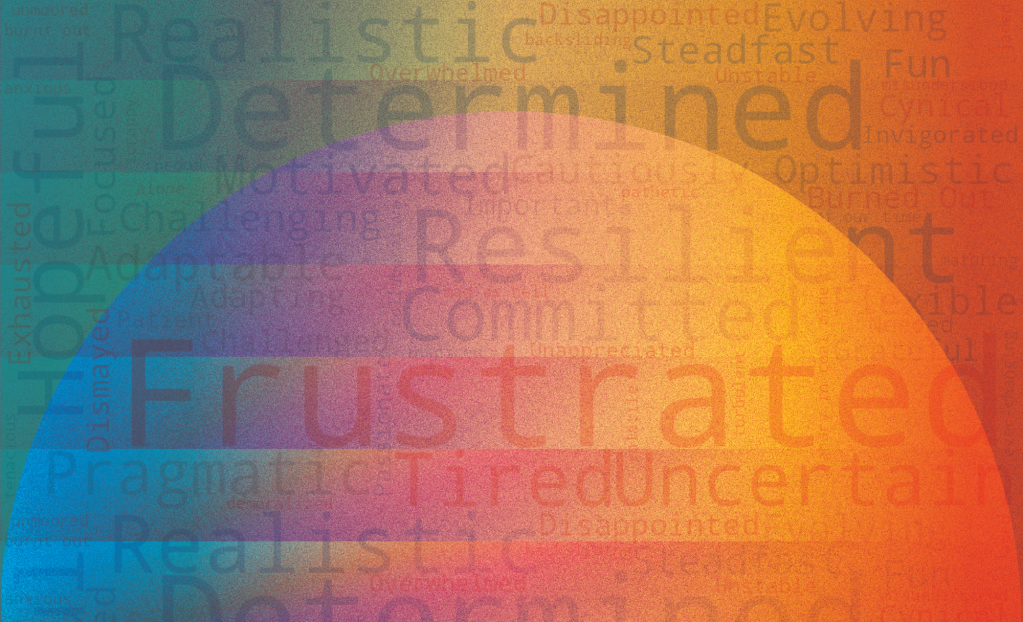 The State of the Sustainability Profession in 2026