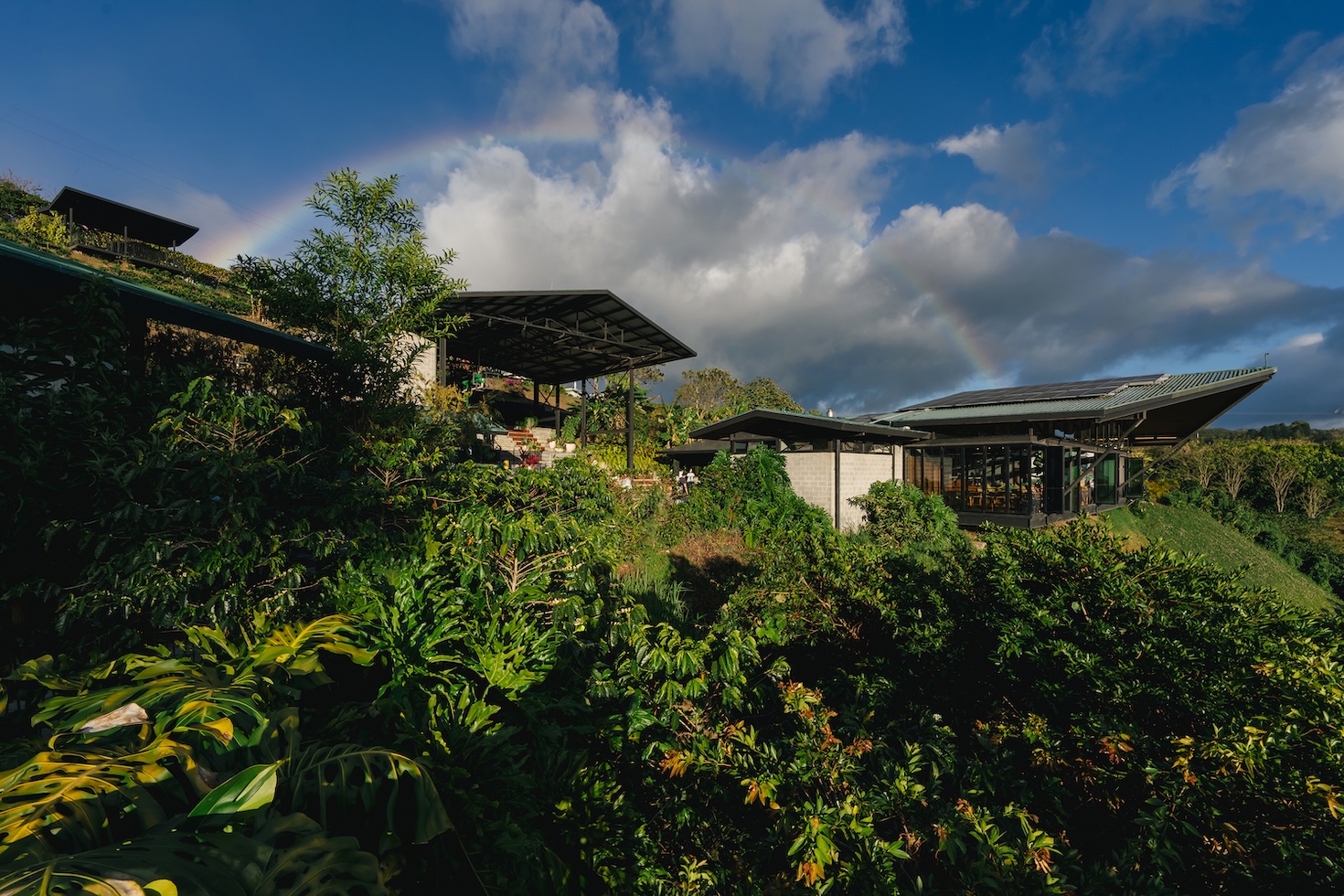 Starbucks reassesses climate goals with coffee at the…