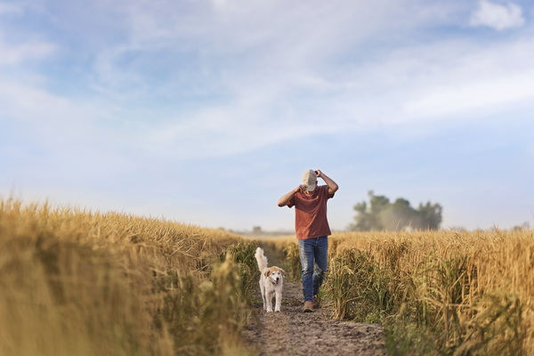 Q&A: How Purina is implementing regenerative agriculture