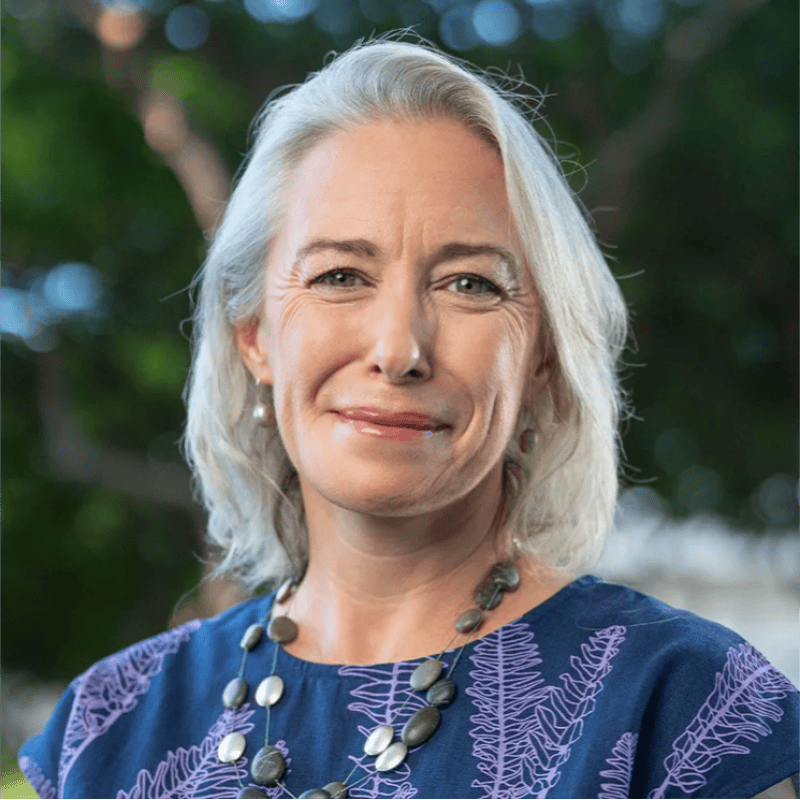 Diana Birkett Rakow, Hawaiian Airlines