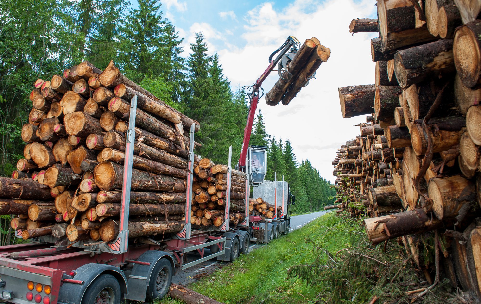 Limit corporate influence, nonprofits tell GHG Protocol and&hellip;