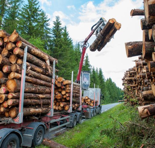Limit corporate influence, nonprofits tell GHG Protocol and other standard-setters 