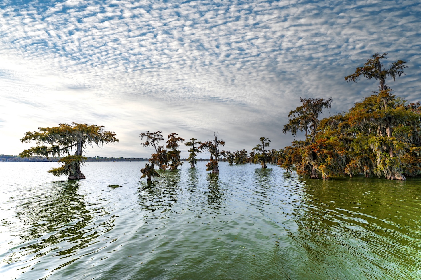 Behind the push to harmonize nature frameworks